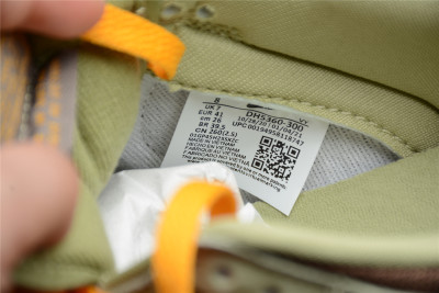 Nike Dunk Low Olive Brown Orange  DH5360-300