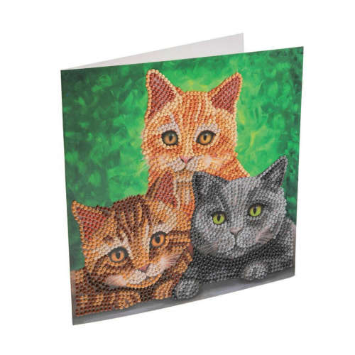 crystal-art-card-kit-cat-portrait