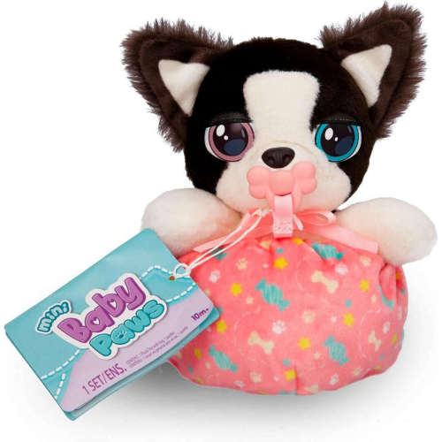 mini-baby-paws-collie-1