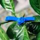 Adjustable Plant Branch Bending Clamp – Flexible Support for Plant Growth & Garden Care