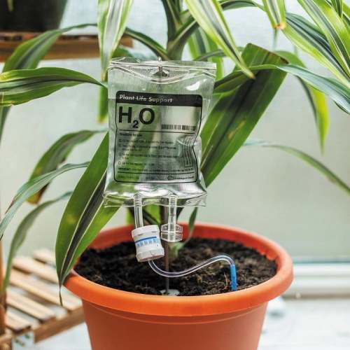 Plant Life Support Watering Device – Automatic Self-Watering System for Healthy Plants
