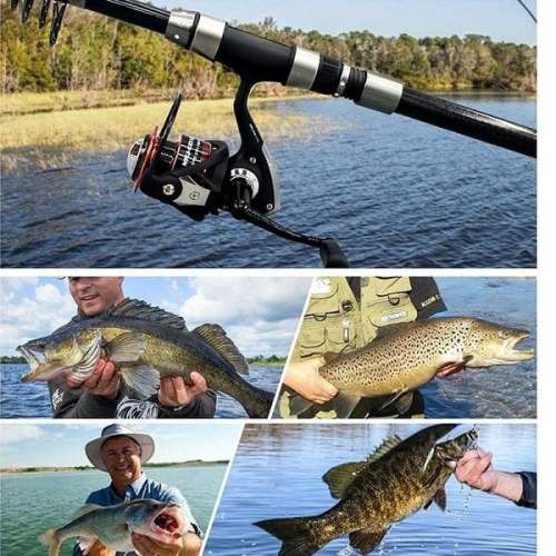 Telescopic Fishing Pole – Compact & Portable Fishing Rod for Anglers