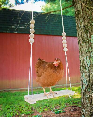 Chicken Swing Toy for Coop - Fun Wooden Accessory for Happy Chickens