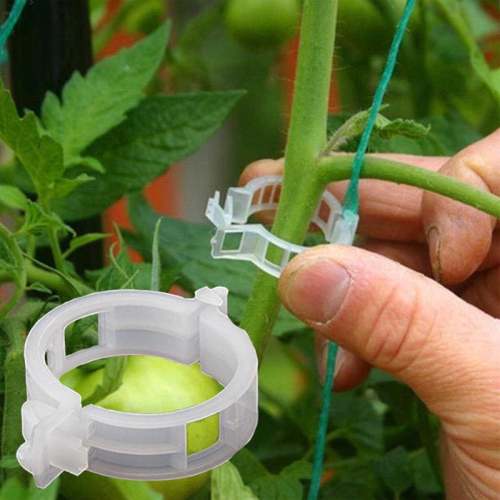 Durable Plant Support Clips for Stronger Growth and Stability