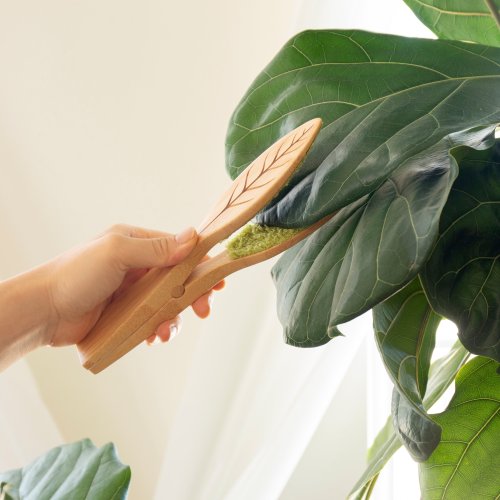 Plant Leaf Lint Cleaner - Gentle & Effective Dust Removal Tool for Houseplants