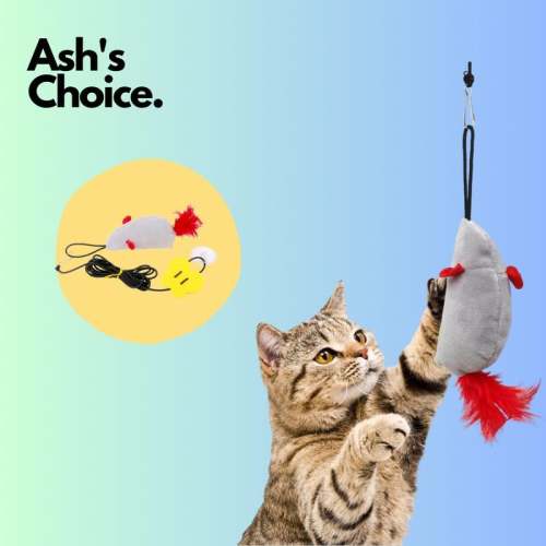 Hanging Door Cat Plush Toy - Adorable Decor & Playtime Fun