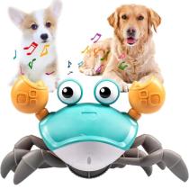 The Uncatchable Crab Dog Toy