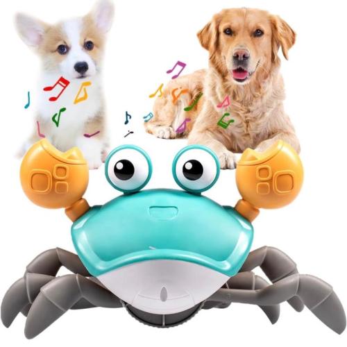 The Uncatchable Crab Dog Toy - Interactive Fun for Pets