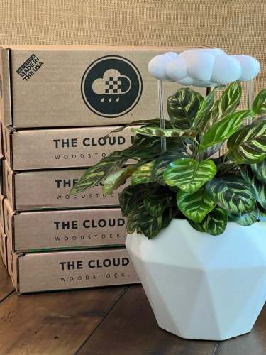 Original Dripping Rain Cloud - Unique Indoor Decor
