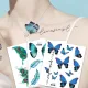 Sparkly Fairy Butterfly Wings – Enchanting Costume Accessory for Magical Dress-Up and Events
