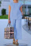 Casual Simplicity Solid Solid Color Short Sleeve Two Pieces