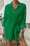 Casual Simplicity Solid Fold Turndown Collar Long Sleeve Two Pieces(8 Colors)