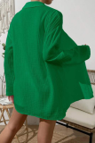 Casual Simplicity Solid Fold Turndown Collar Long Sleeve Two Pieces(8 Colors)