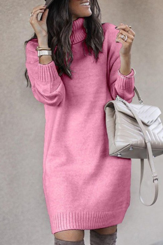 Casual Solid Solid Color Turtleneck Tops