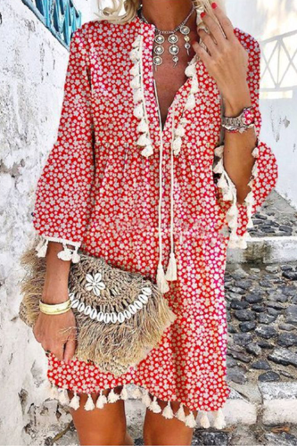 Casual Elegant Floral Tassel Split Joint V Neck A Line Dresses