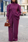 Casual Solid Patchwork Turtleneck Long Sleeve Two Pieces