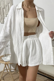 Casual Simplicity Solid Fold Turndown Collar Long Sleeve Two Pieces(8 Colors)