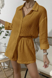 Casual Simplicity Solid Fold Turndown Collar Long Sleeve Two Pieces(8 Colors)