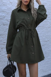 Fashion Street Solid Split Joint Turndown Collar A Line Dresses