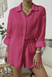 Casual Simplicity Solid Fold Turndown Collar Long Sleeve Two Pieces(8 Colors)