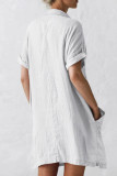 Fashion Casual Solid Split Joint Turndown Collar Straight Dresses