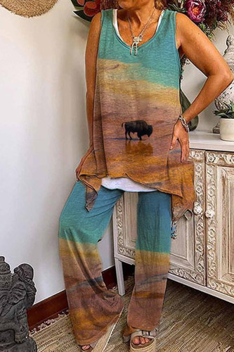 Fashion Casual Print Split Joint O Neck Sleeveless Two Pieces