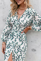 Fashion Street Print Frenulum V Neck A Line Dresses