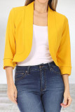 Elegant Solid Color Mandarin Collar Outerwear