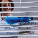 Electric Duster