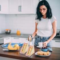 Triangle Sandwich Container