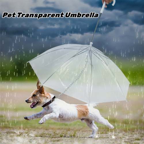 Pet Transparent Umbrella