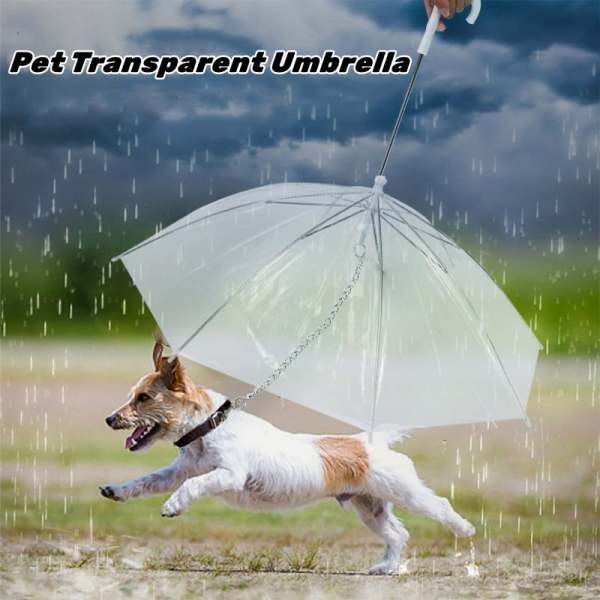 Pet Transparent Umbrella