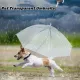 Pet Transparent Umbrella
