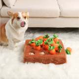 Carrot Mat For Pet