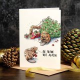 Early Christmas Sale -Christmas Card Set (Pack of 10)