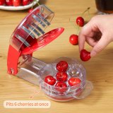 Cherry Pitter Tool