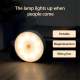 LED Night Light with Smart Sensor