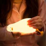 Lying Flat Duck Night Light