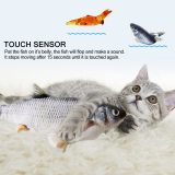 Dancing Fish Catnip Kicker Toy