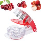 Cherry Pitter Tool