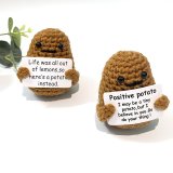 Unique Funny Gift Crochet Poo Plushy Desk Decor