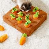 Carrot Mat For Pet