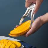 Pit Remover Fruit Diced Tool