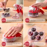 Cherry Pitter Tool