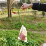 Fruit Vegetable Insect Proof Mesh Bag
