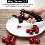 Cherry Pitter