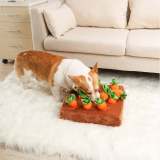 Carrot Mat For Pet