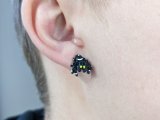 Creative Animal Earrings