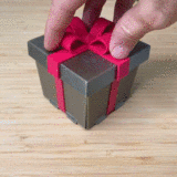 Funny Middle Finger Gift
