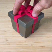 Funny Middle Finger Gift